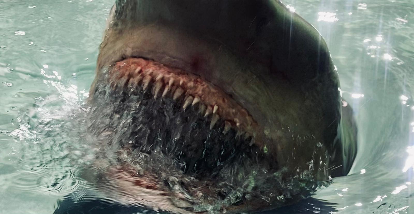 Fear Below  (Blu-ray Disc)