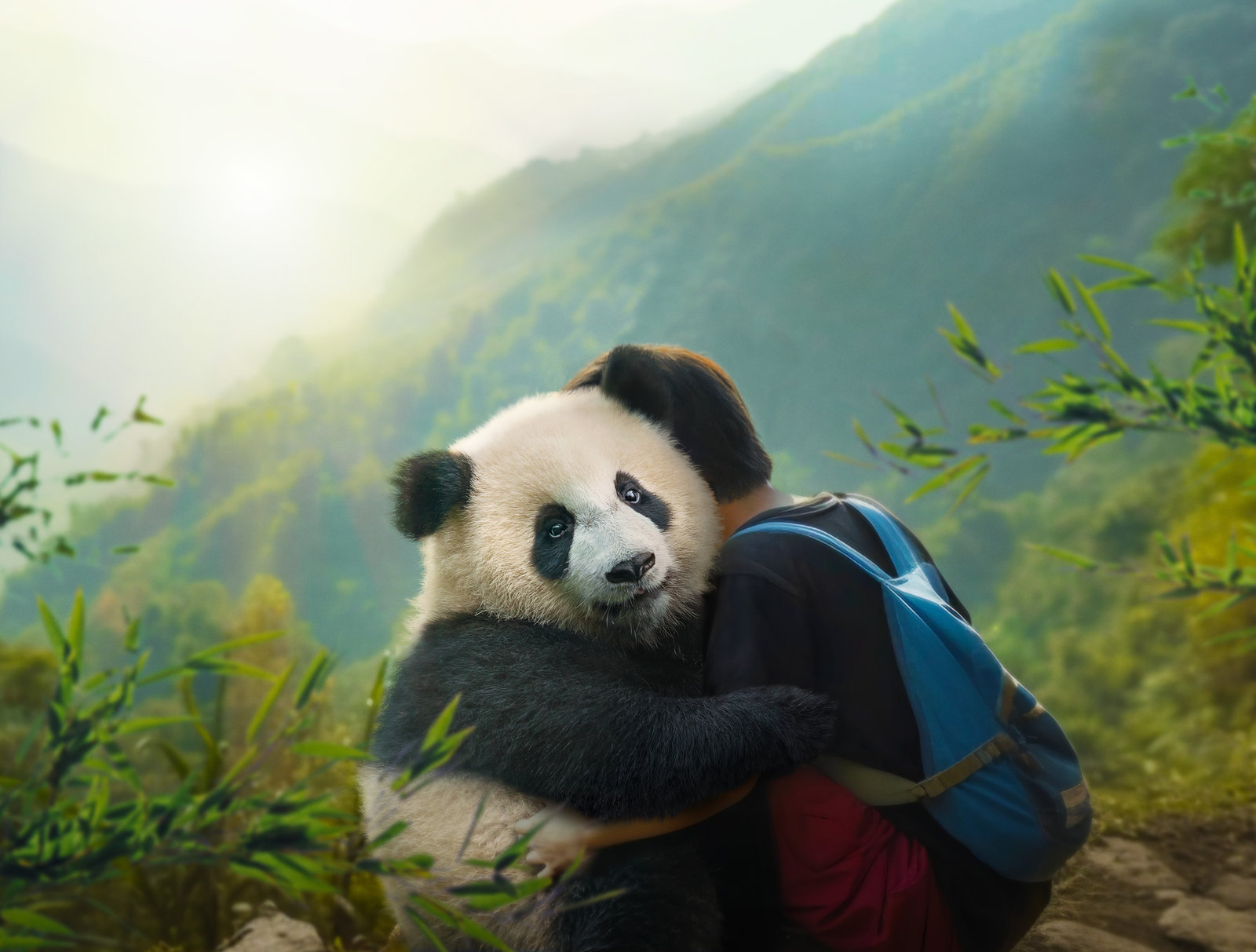 Moon - Der Panda  (Blu-ray Disc)