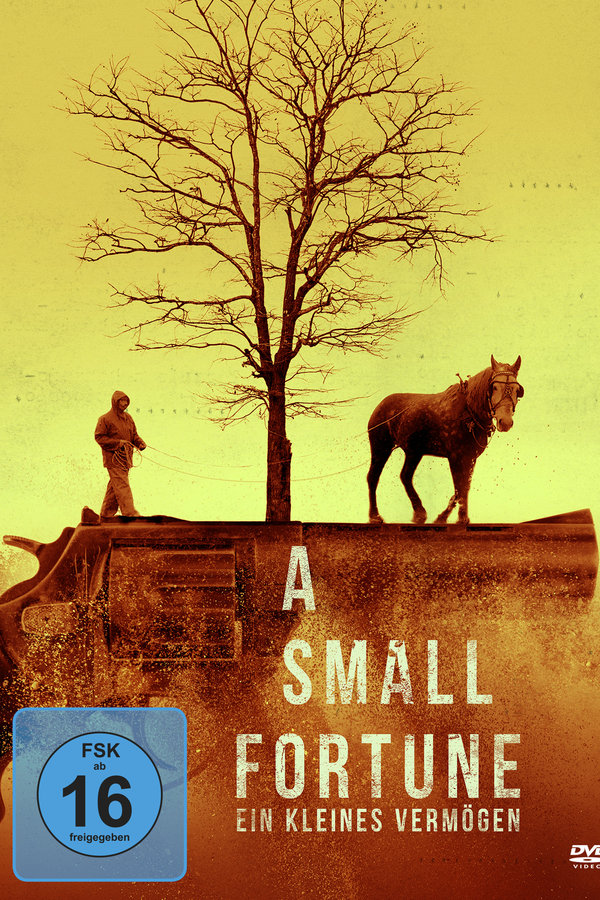 A Small Fortune - Ein kleines Vermögen  (DVD)
