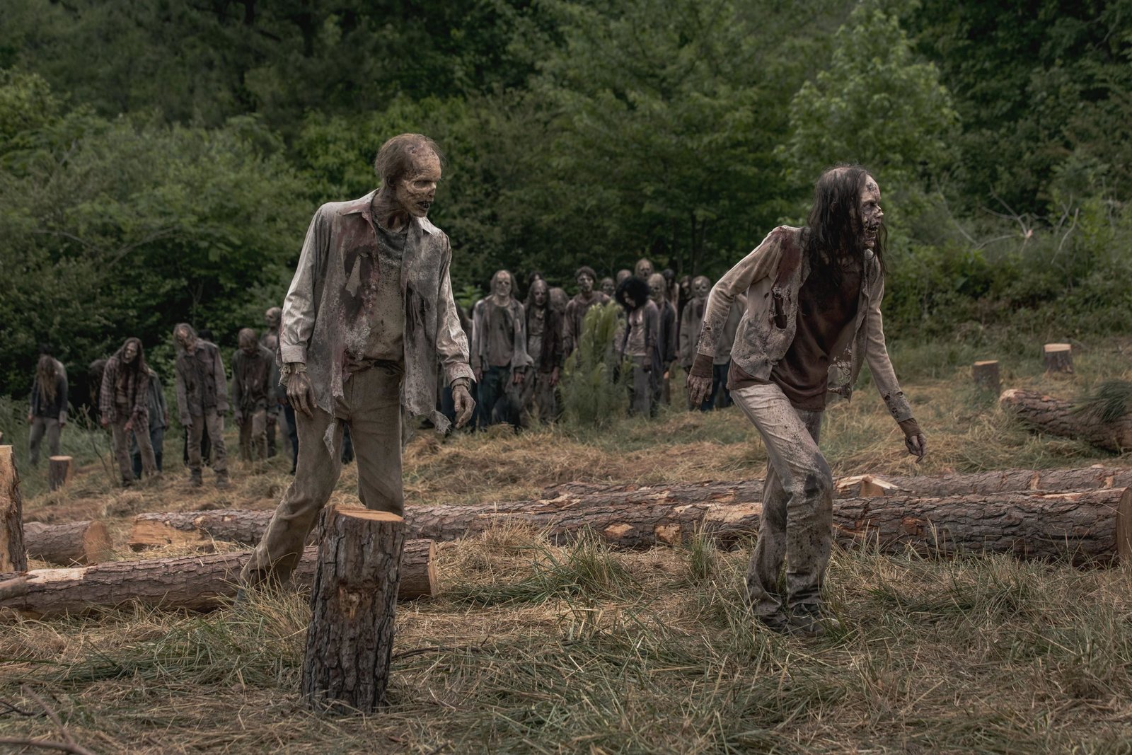 Walking Dead, The - Staffel 9 - Uncut