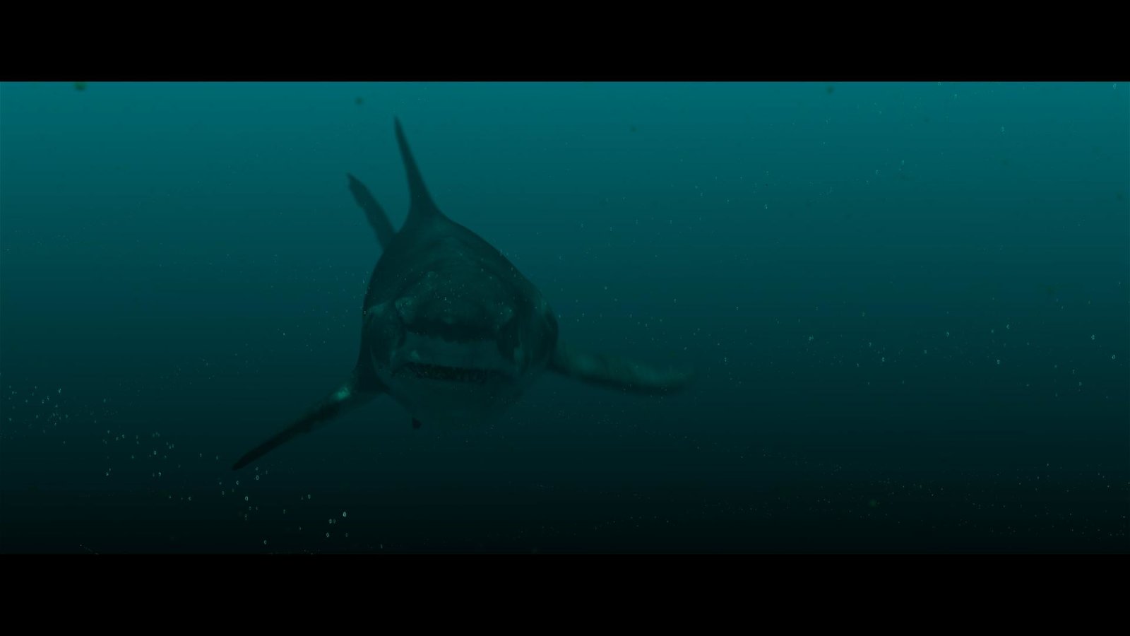 Megalodon Rising - Dieses Mal kommt er nicht allein (blu-ray)