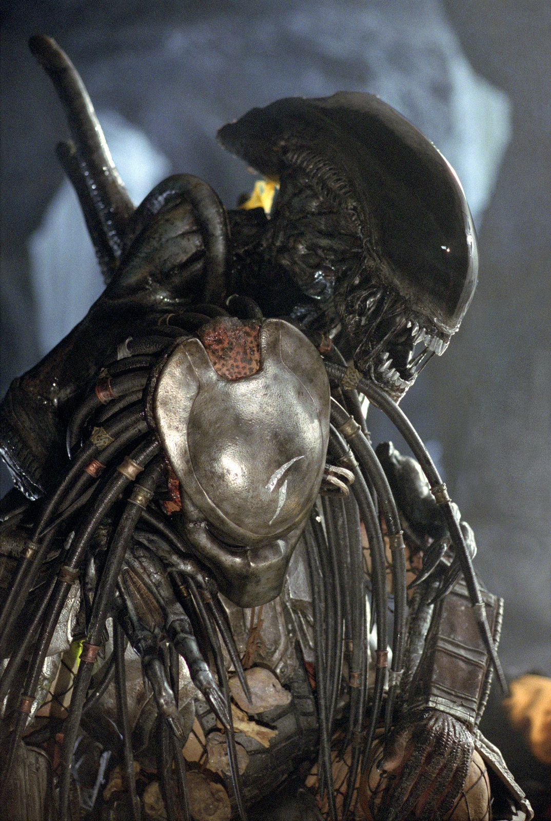 Alien vs. Predator (blu-ray)