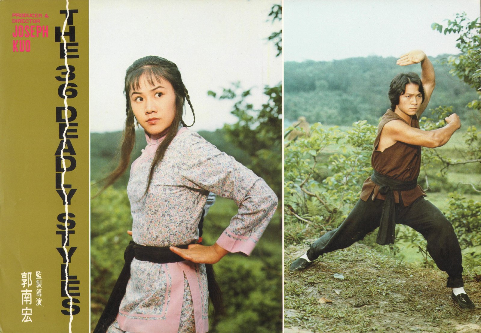 DIE 8 TÖDLICHEN SCHLÄGE - COVER A  (Blu-ray Disc)