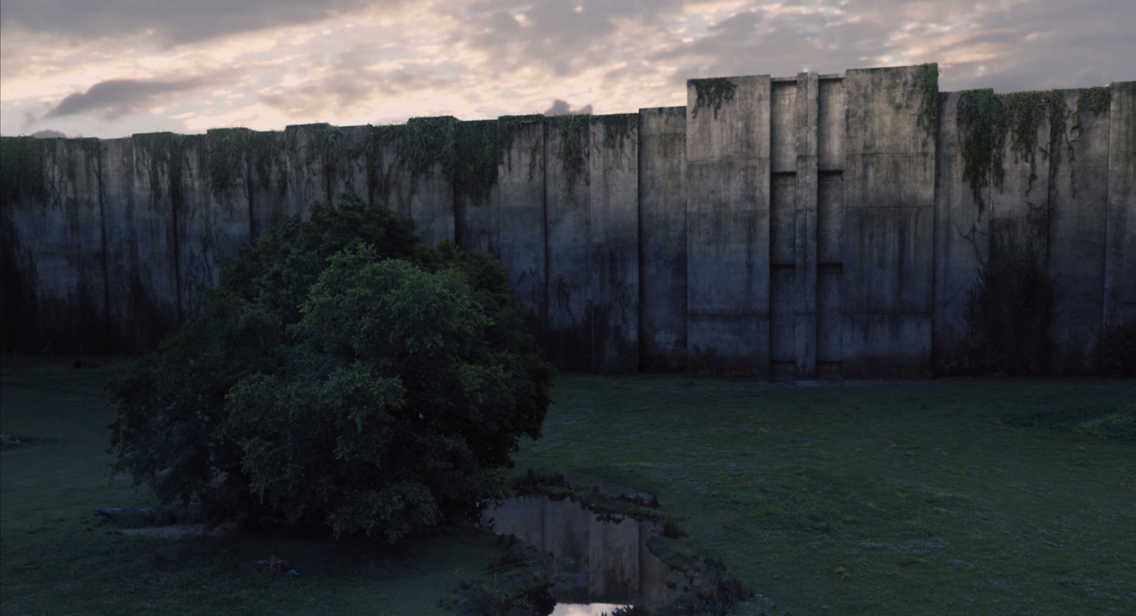 Maze Runner - Die Auserwählten im Labyrinth (blu-ray)