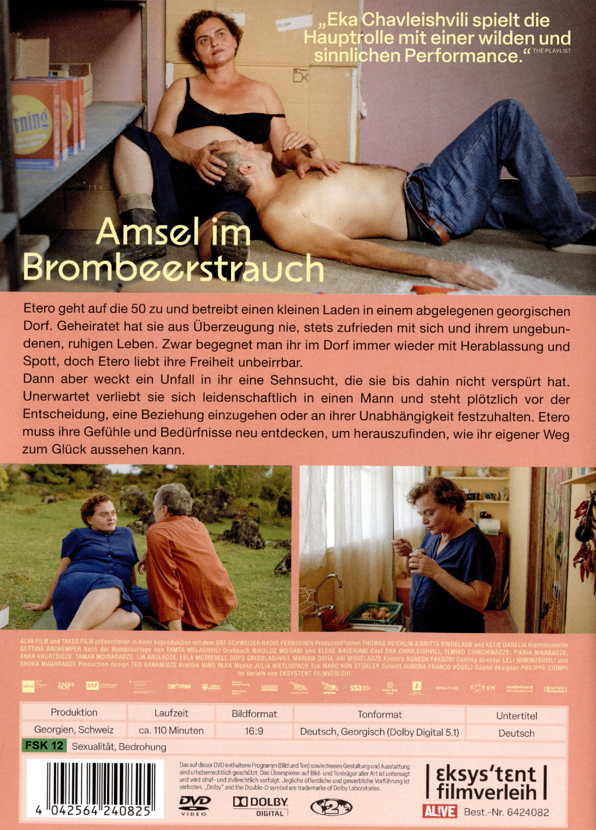 Amsel im Brombeerstrauch  (DVD)