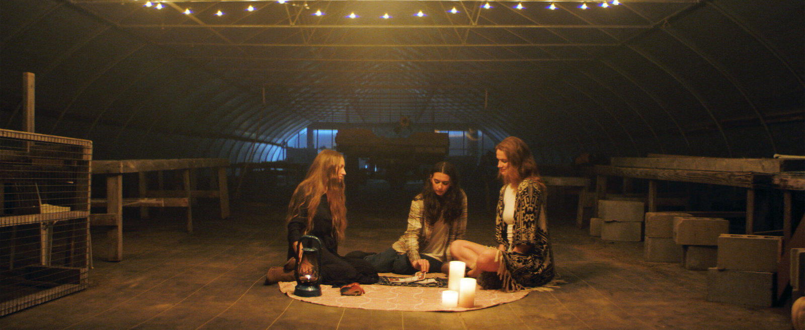 The Ones You Didn't Burn  (DVD)