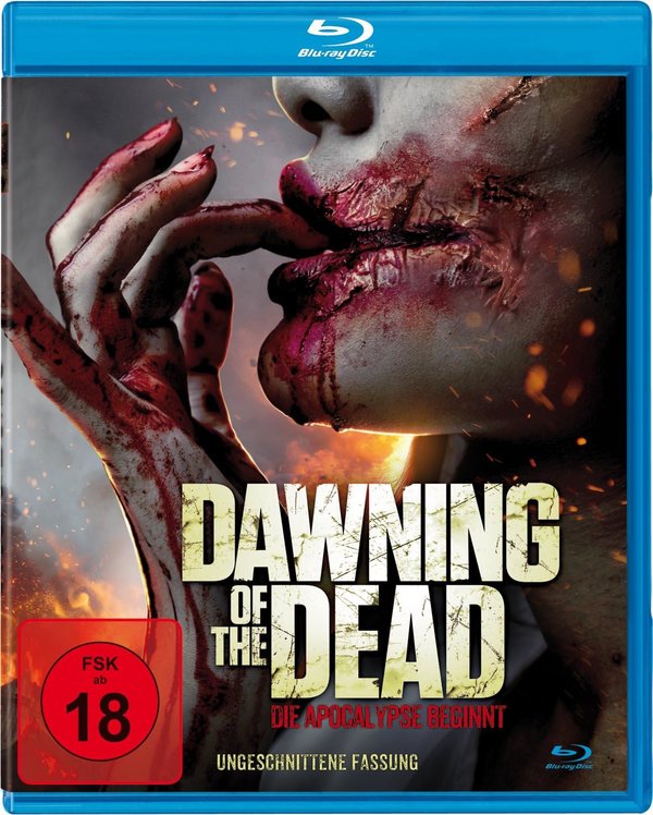 Dawning of the Dead - Die Apocalypse beginnt (blu-ray)