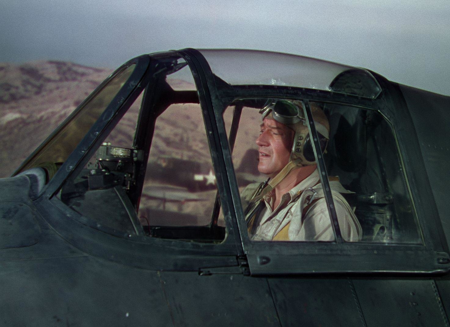 Stählerne Schwingen