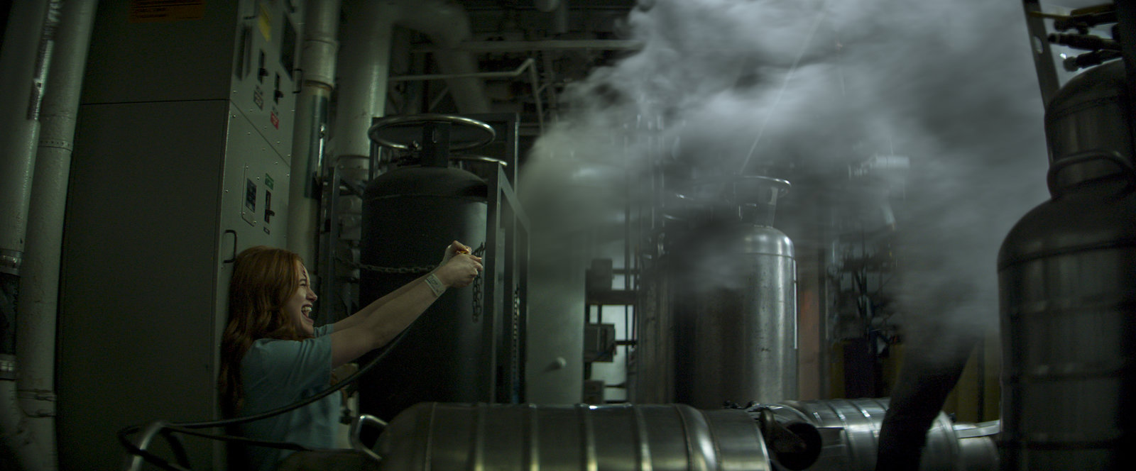 The Strangers - Chapter 2  (Blu-ray Disc)