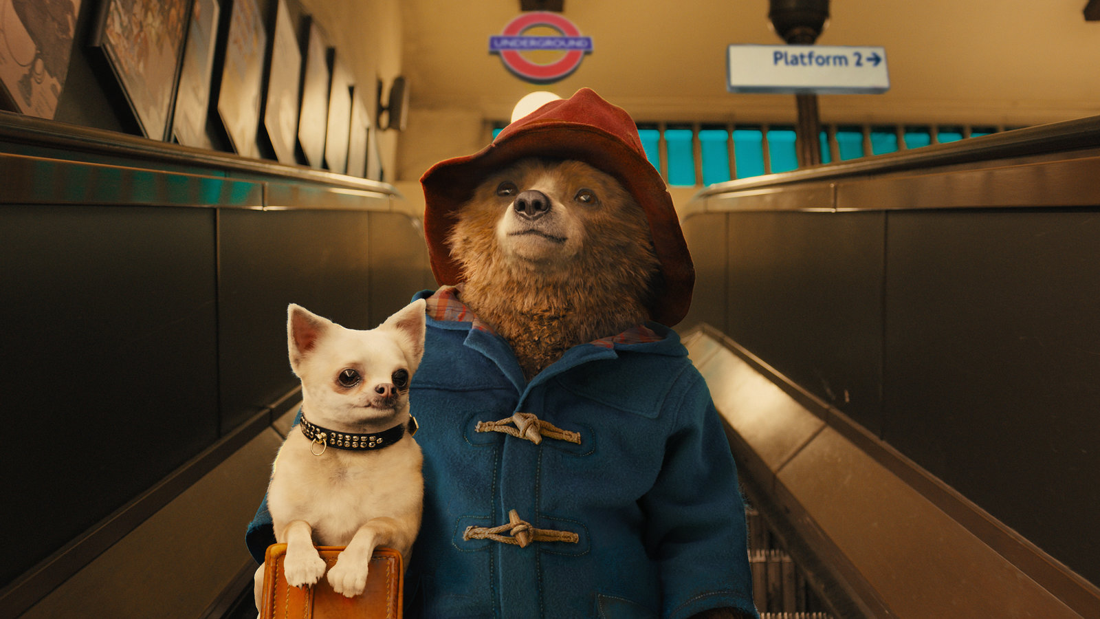 Paddington  (4K Ultra HD + Blu-ray)