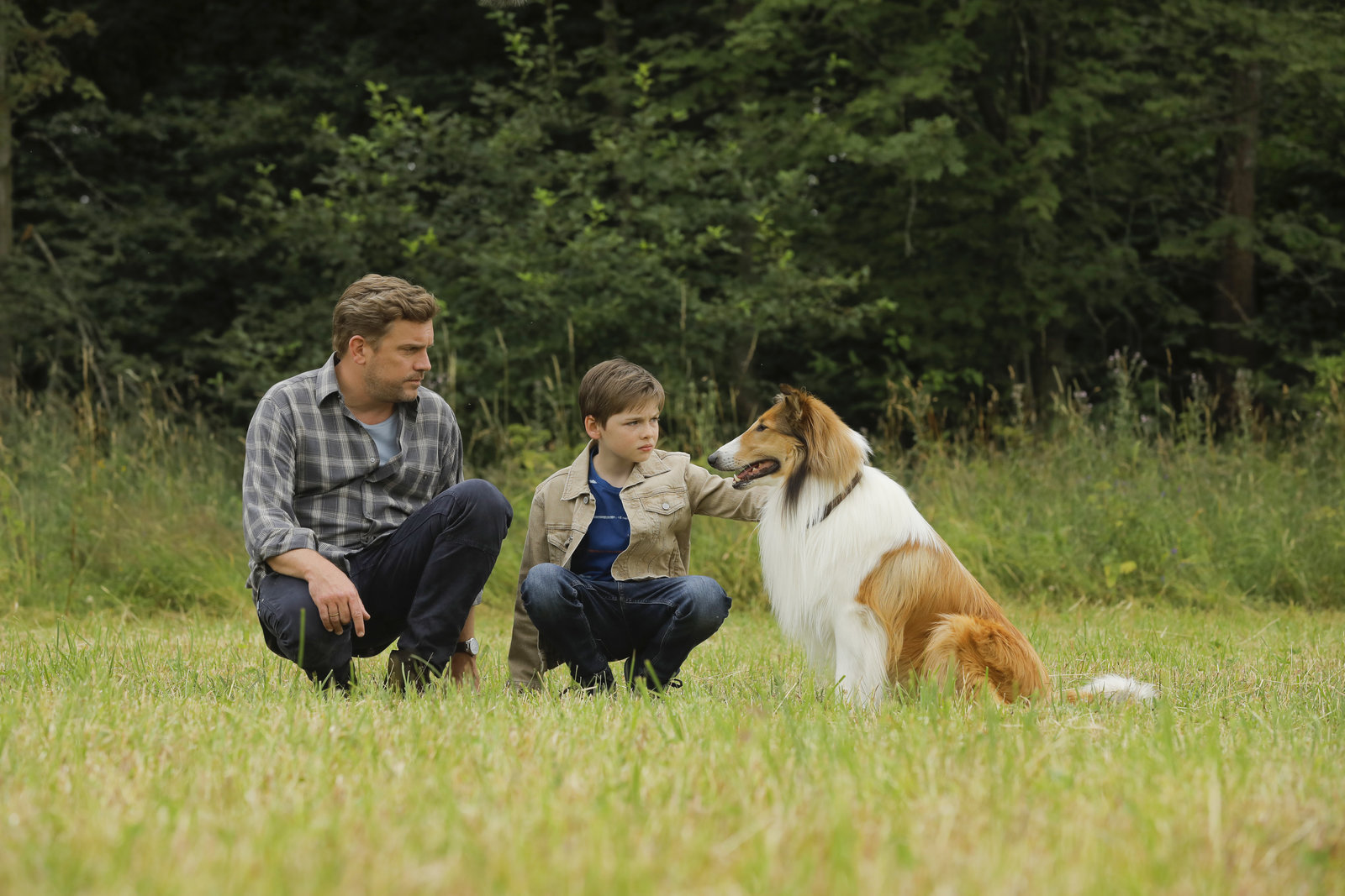 Lassie - Eine abenteuerliche Reise (blu-ray)