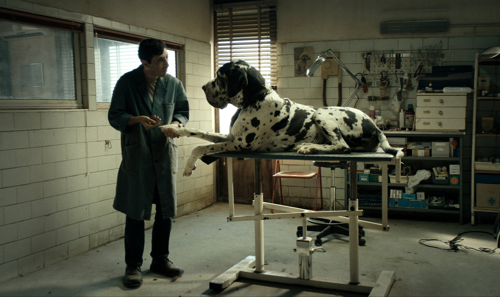Dogman - Cover A