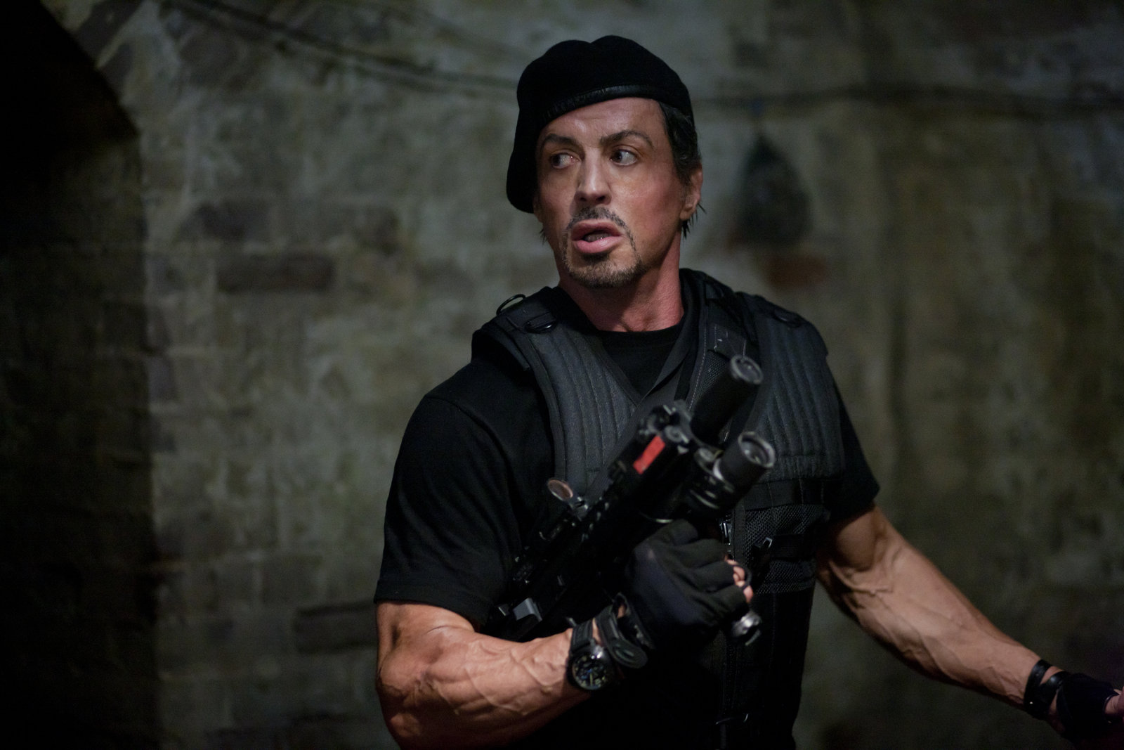 Expendables, The (blu-ray)