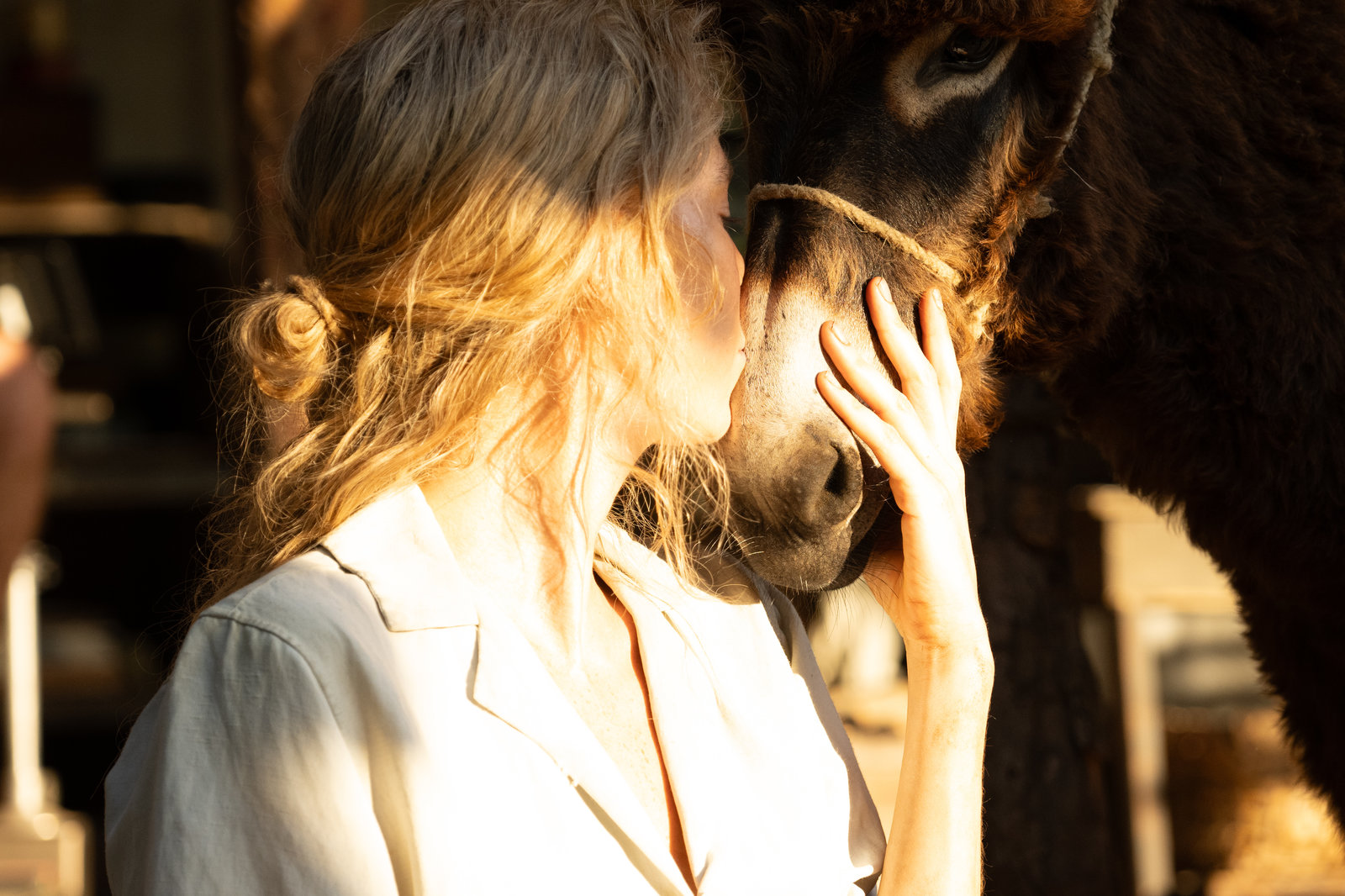 Eden  (Blu-ray Disc)