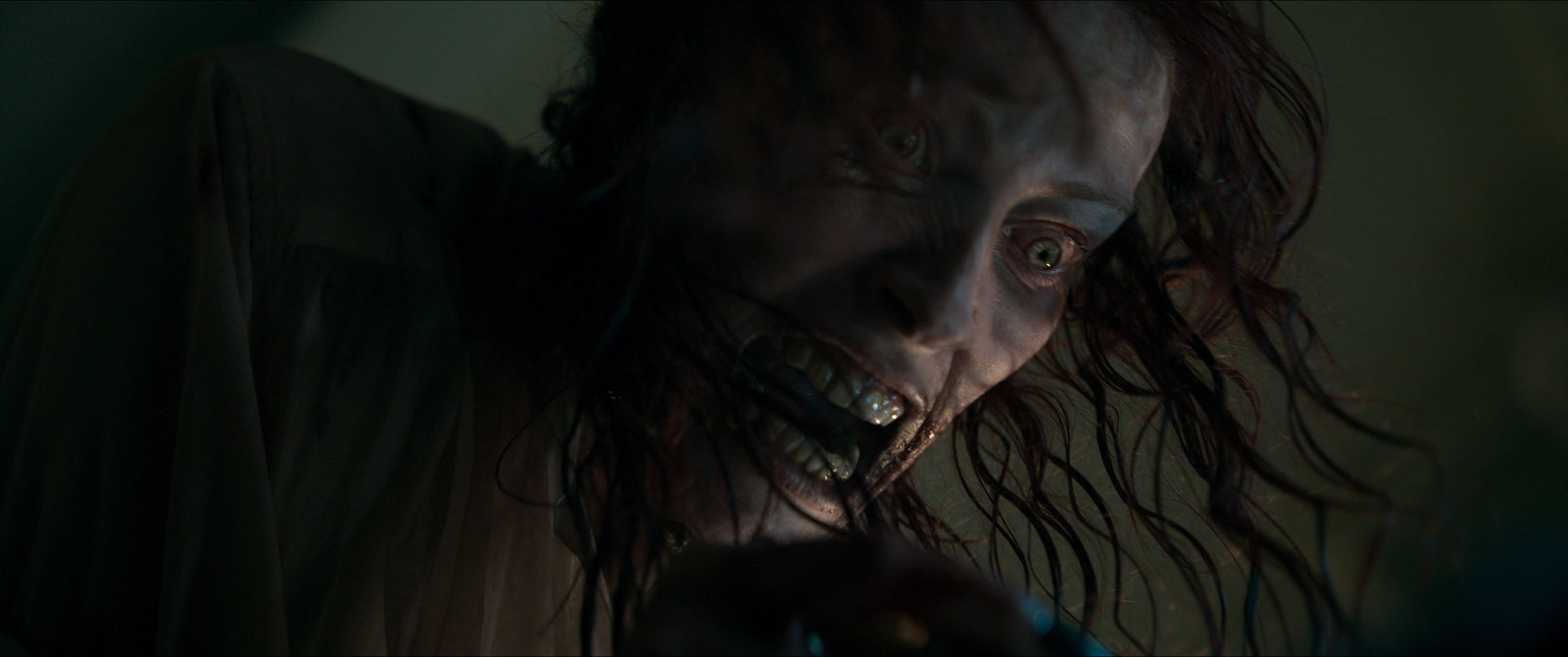 Evil Dead Rise  (Blu-ray Disc)
