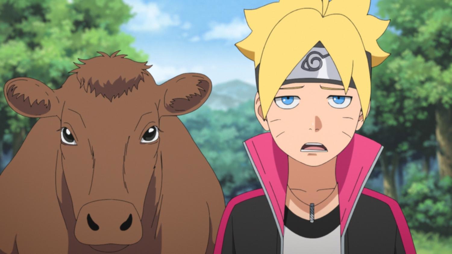 Boruto: Naruto Next Generations - Volume 13 (Ep. 221-232)  [3 DVDs]  (DVD)