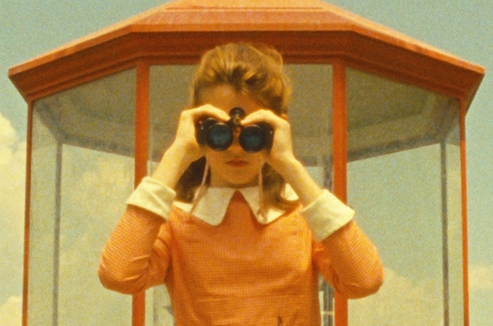 Moonrise Kingdom  (DVD)