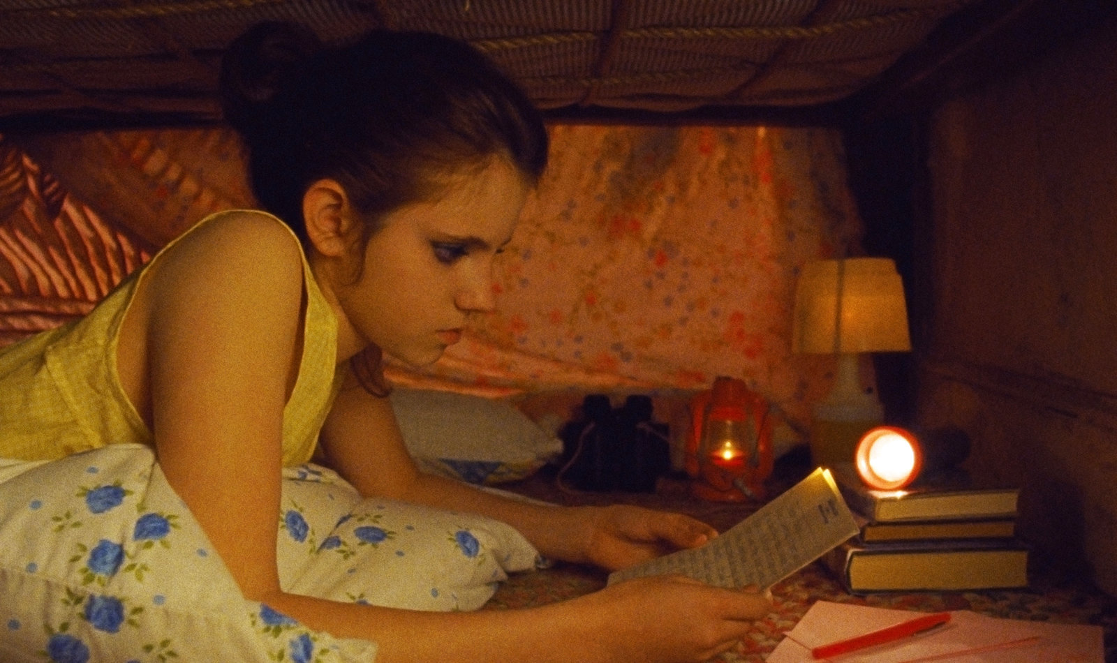 Moonrise Kingdom  (DVD)