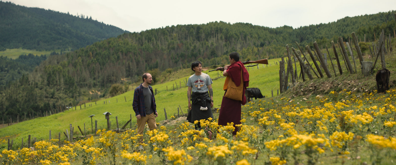 Was will der Lama mit dem Gewehr?  (DVD)