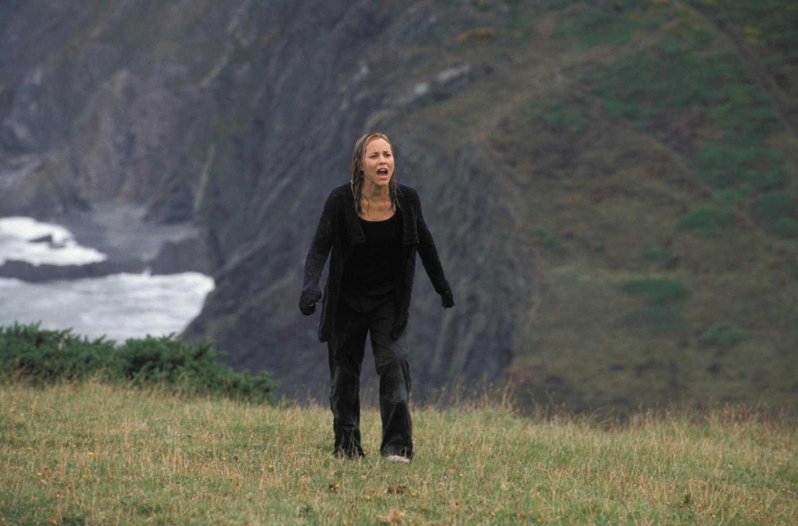 The Dark  (Blu-ray Disc)