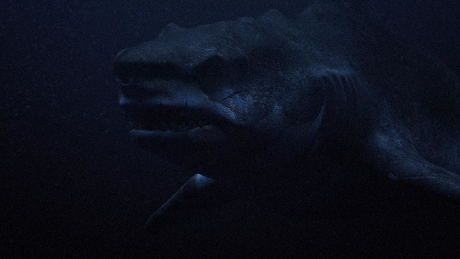 Megalodon 1+2 - Uncut Special Edition
