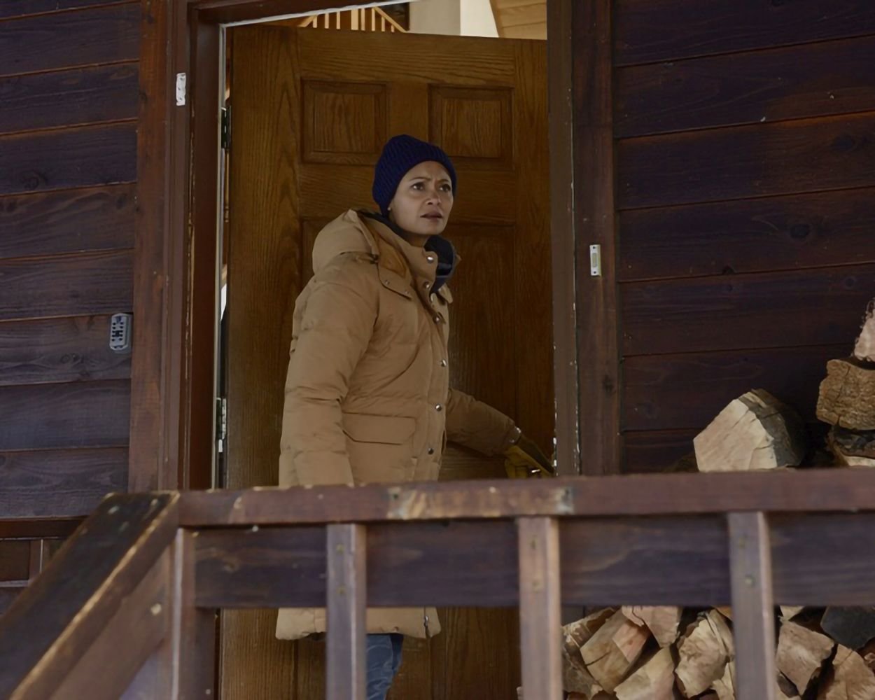 God's Country / Preisgekrönter packender Thriller mit den Stars aus „Yellowstone“ und „Westworld“  (Blu-ray Disc)