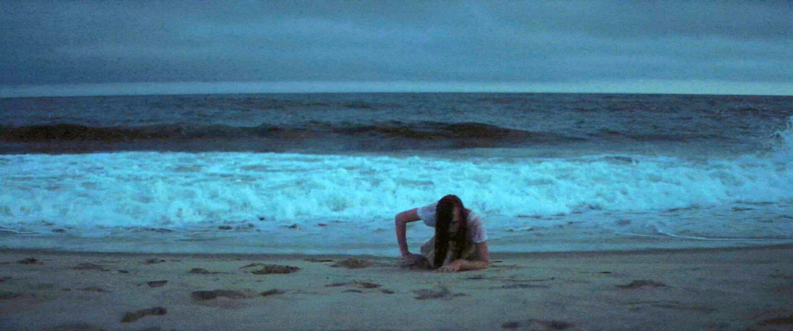 The Ones You Didn't Burn  (DVD)