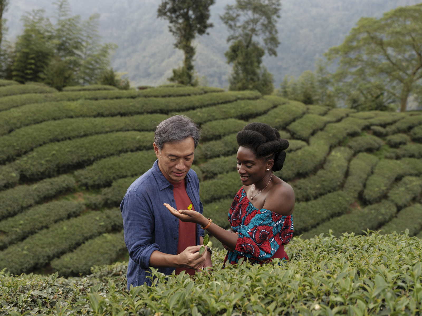 Black Tea (OmU)  (DVD)