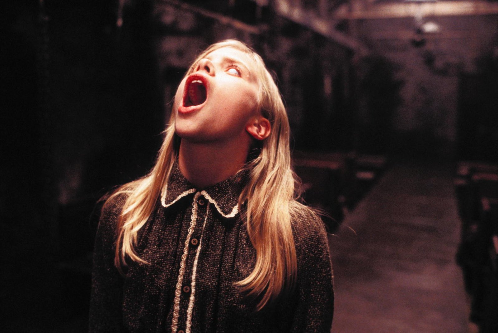 The Dark  (Blu-ray Disc)