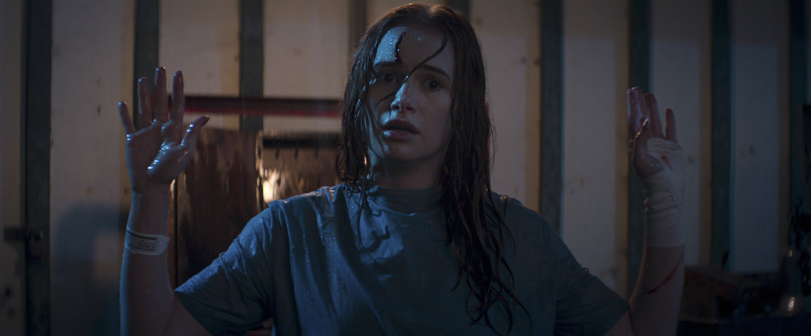 The Strangers - Chapter 2  (Blu-ray Disc)