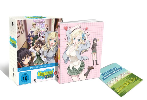 Haganai Next (Volume 1)  (Blu-ray Disc)