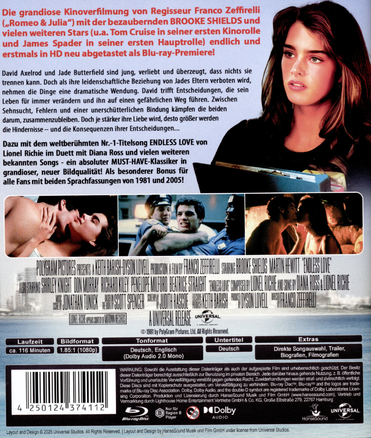 Endless Love  (Blu-ray Disc)