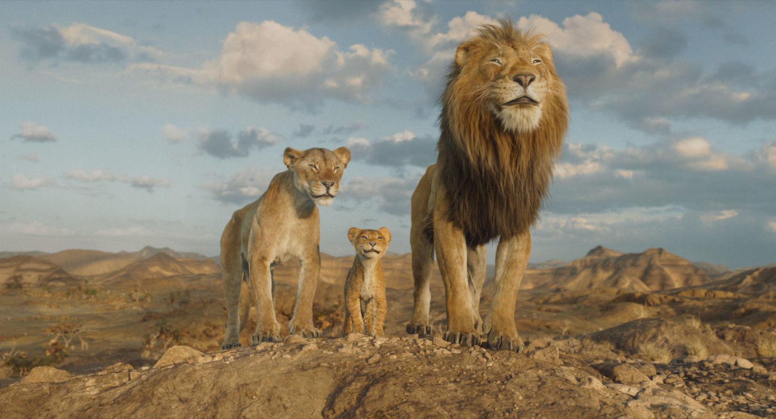 Mufasa - Der König der Löwen - Steelbook - Limited Edition  (4K Ultra HD) (+ Blu-ray) 