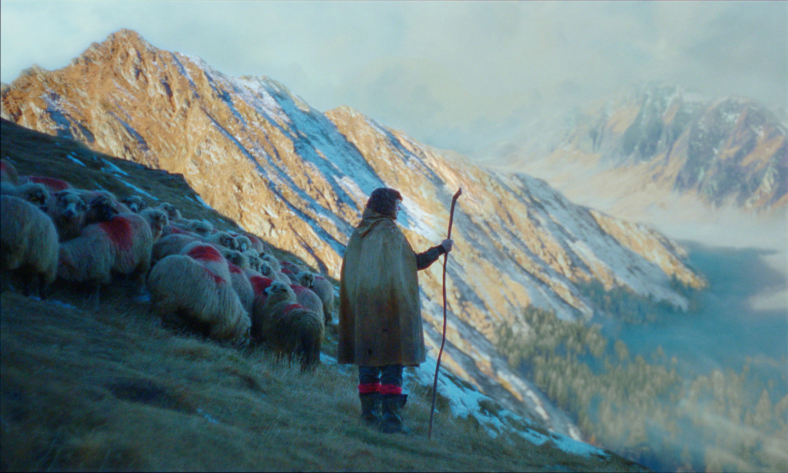 Die Legende von Ochi - Limited Mediabook Edition  (4K Ultra HD+blu-ray)