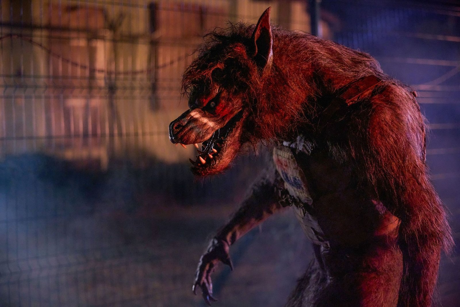 Werewolves  (Blu-ray Disc)