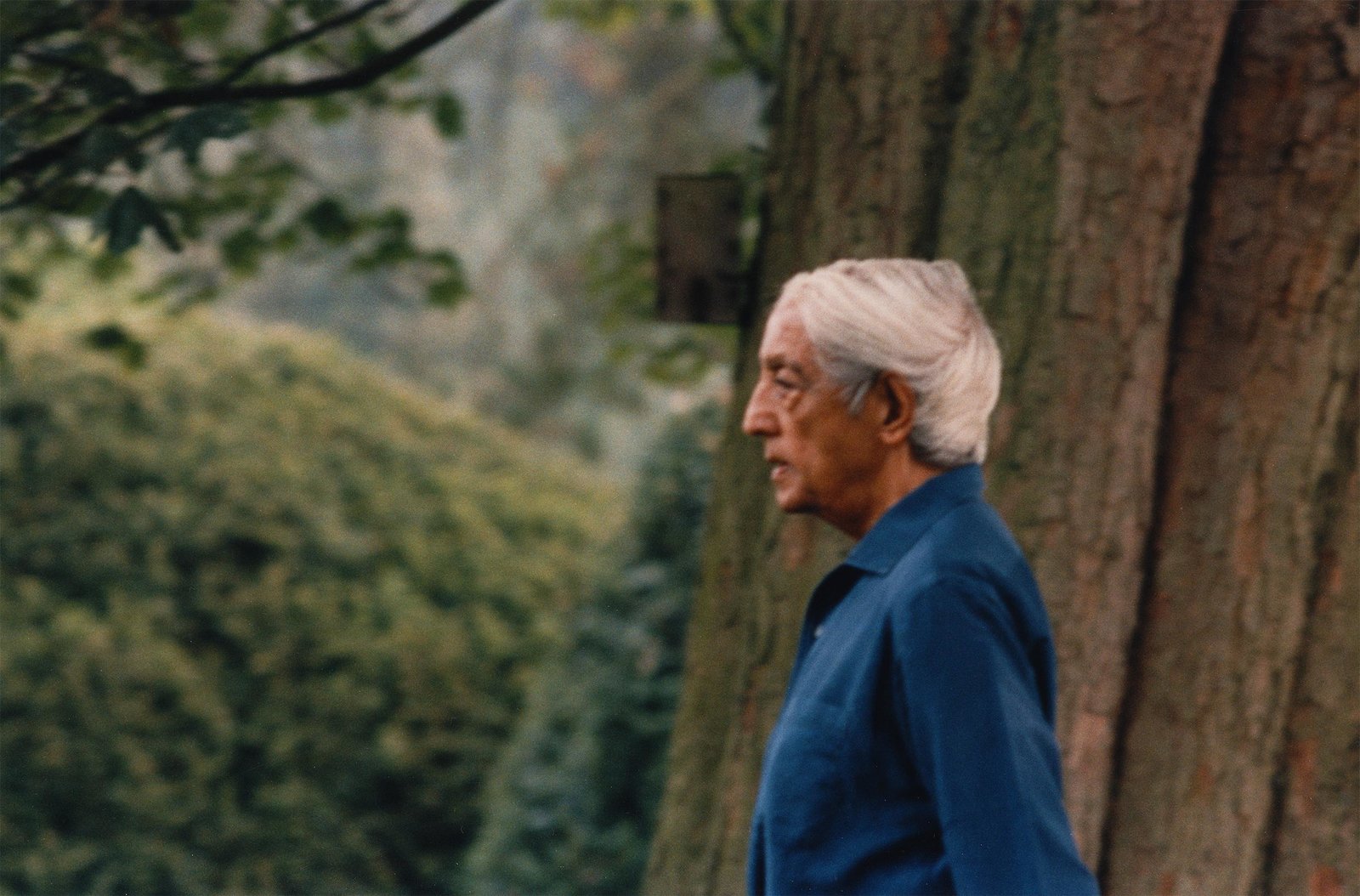 Krishnamurti - Die Revolution der Stille  (DVD)