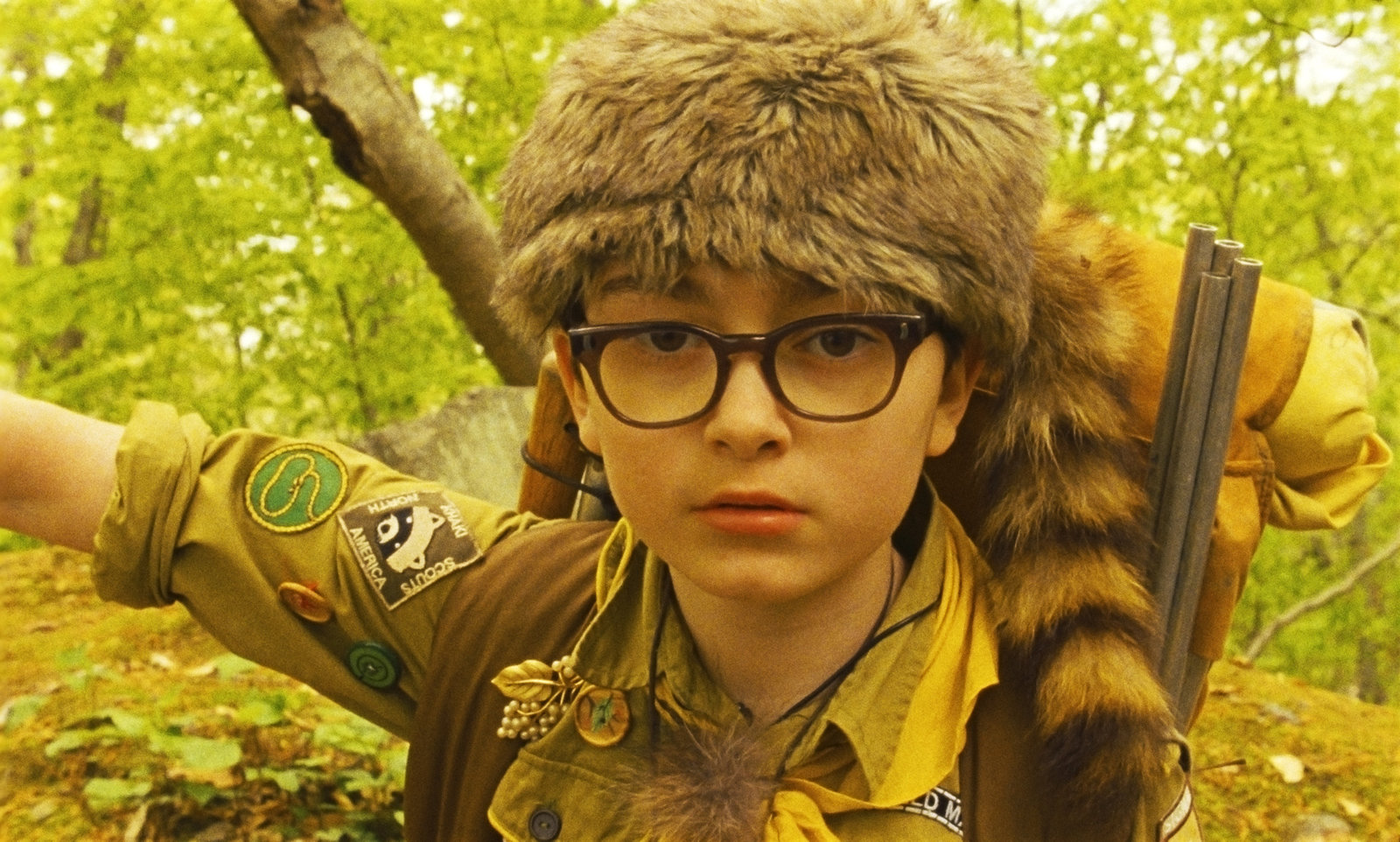 Moonrise Kingdom  (DVD)
