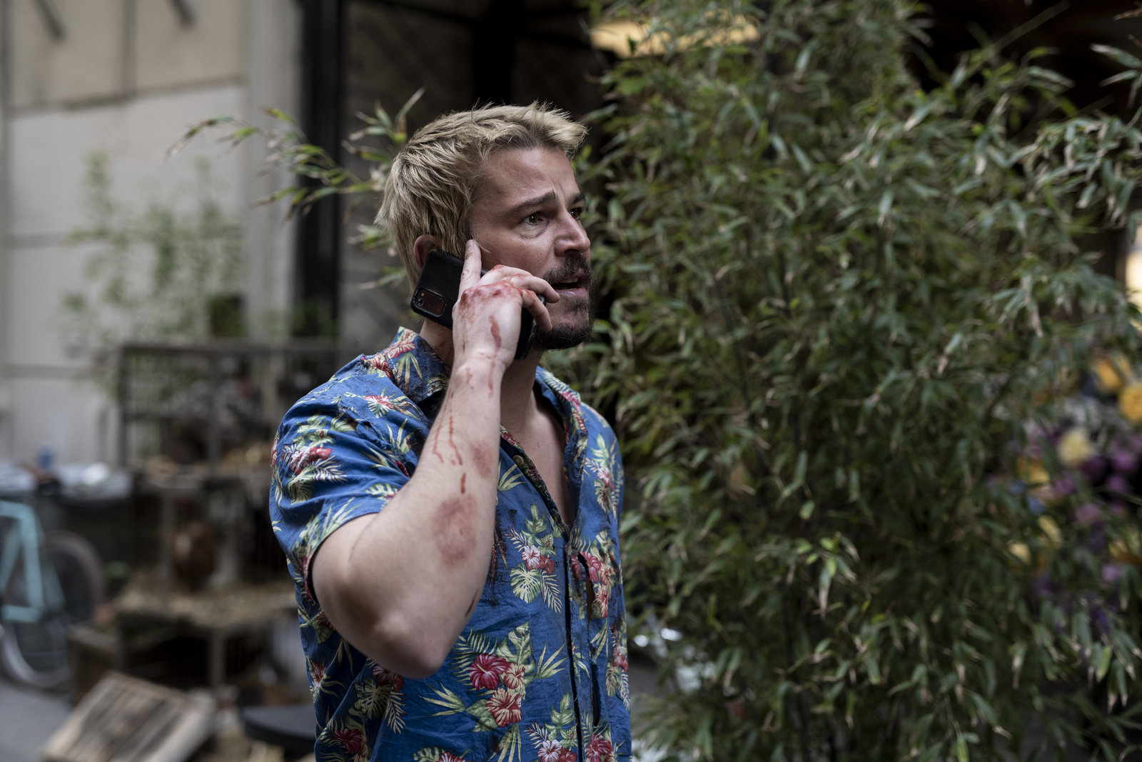 Fight or Flight  (Blu-ray Disc)