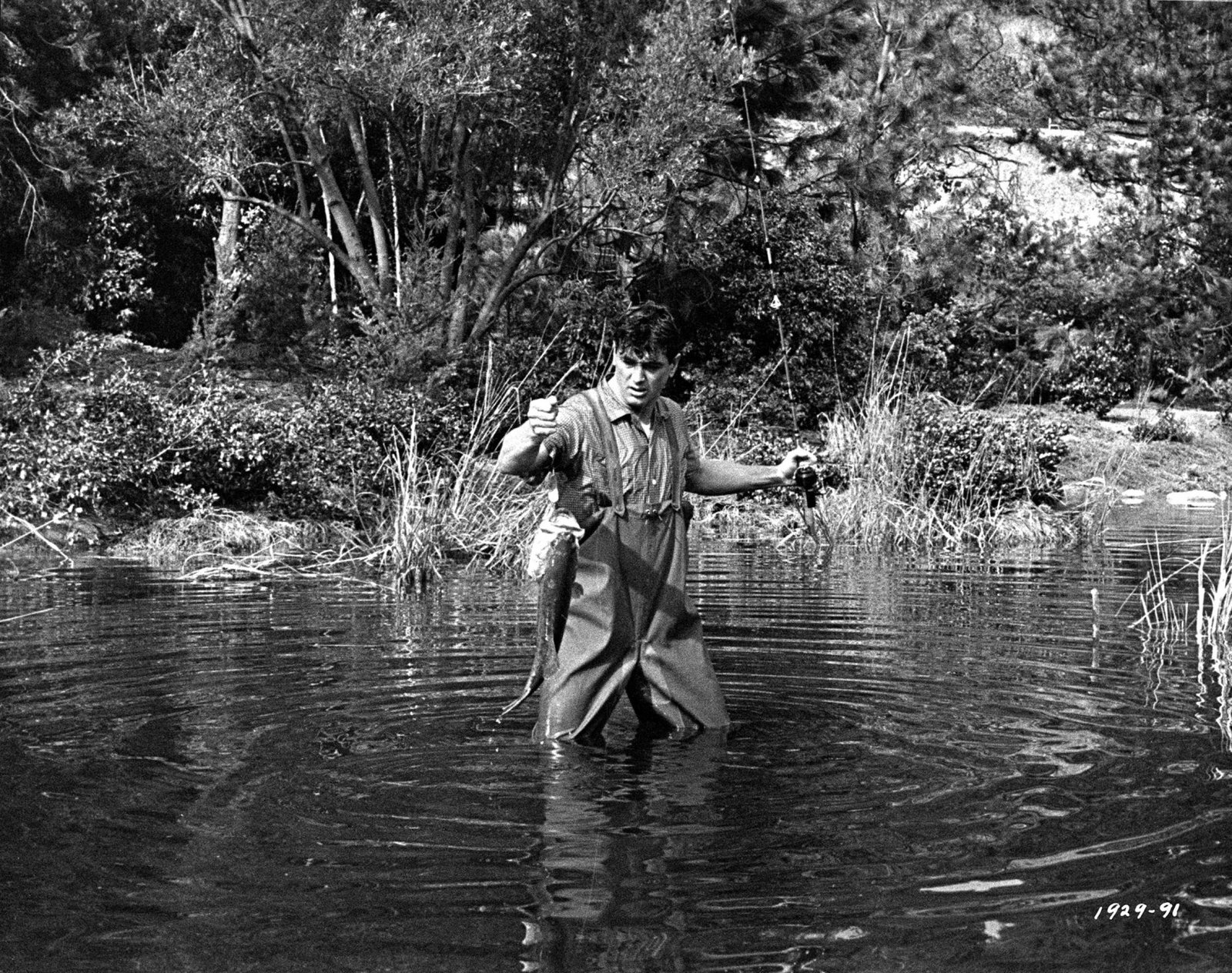 Ein Goldfisch an der Leine (blu-ray)