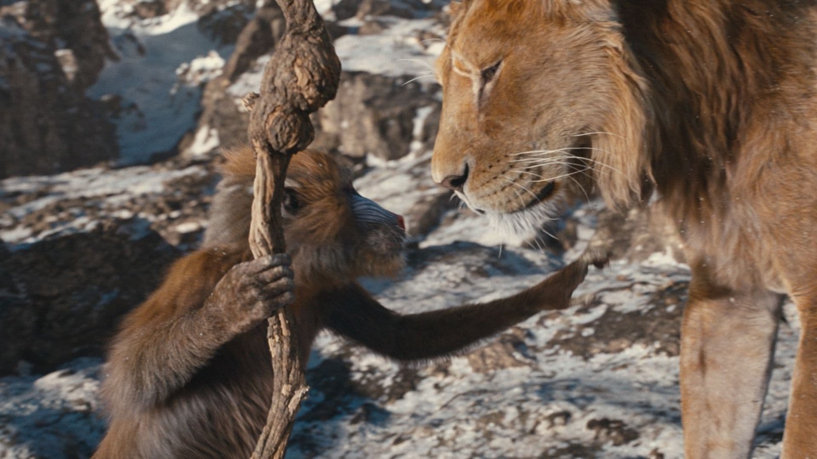 Mufasa - Der König der Löwen  (Blu-ray Disc)