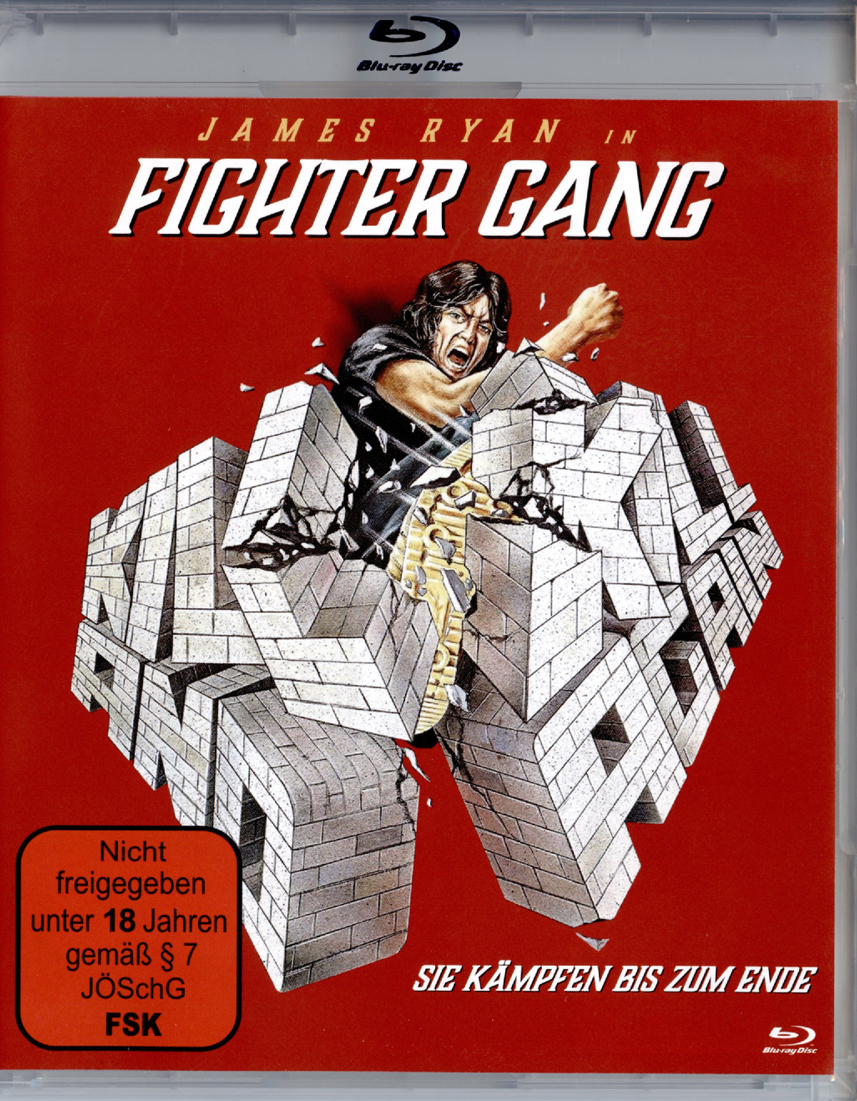 Fighter Gang - Sie kämpfen bis zum Ende (blu-ray) (B)