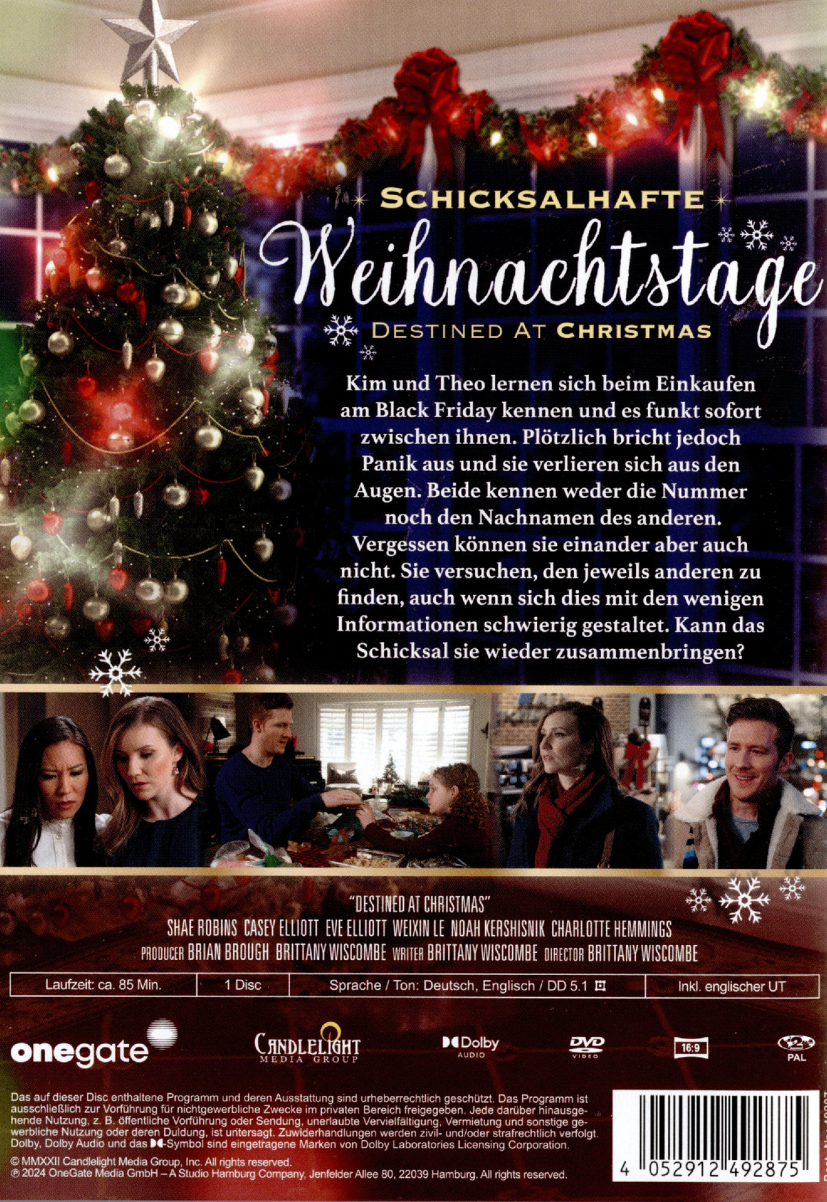 Schicksalhafte Weihnachtstage - Destined At Christmas  (DVD)