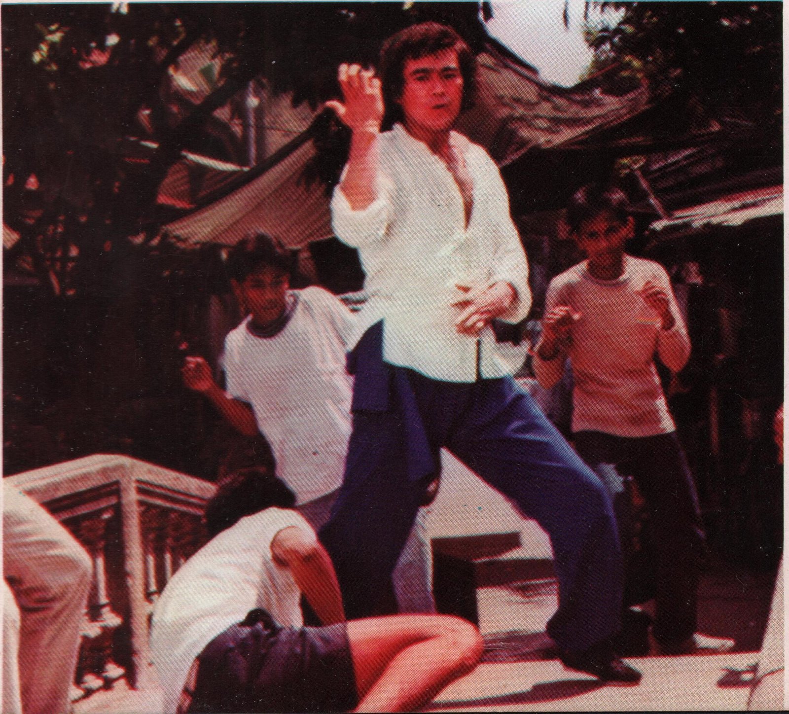 In der Höhle des schwarzen Panthers  (DVD)