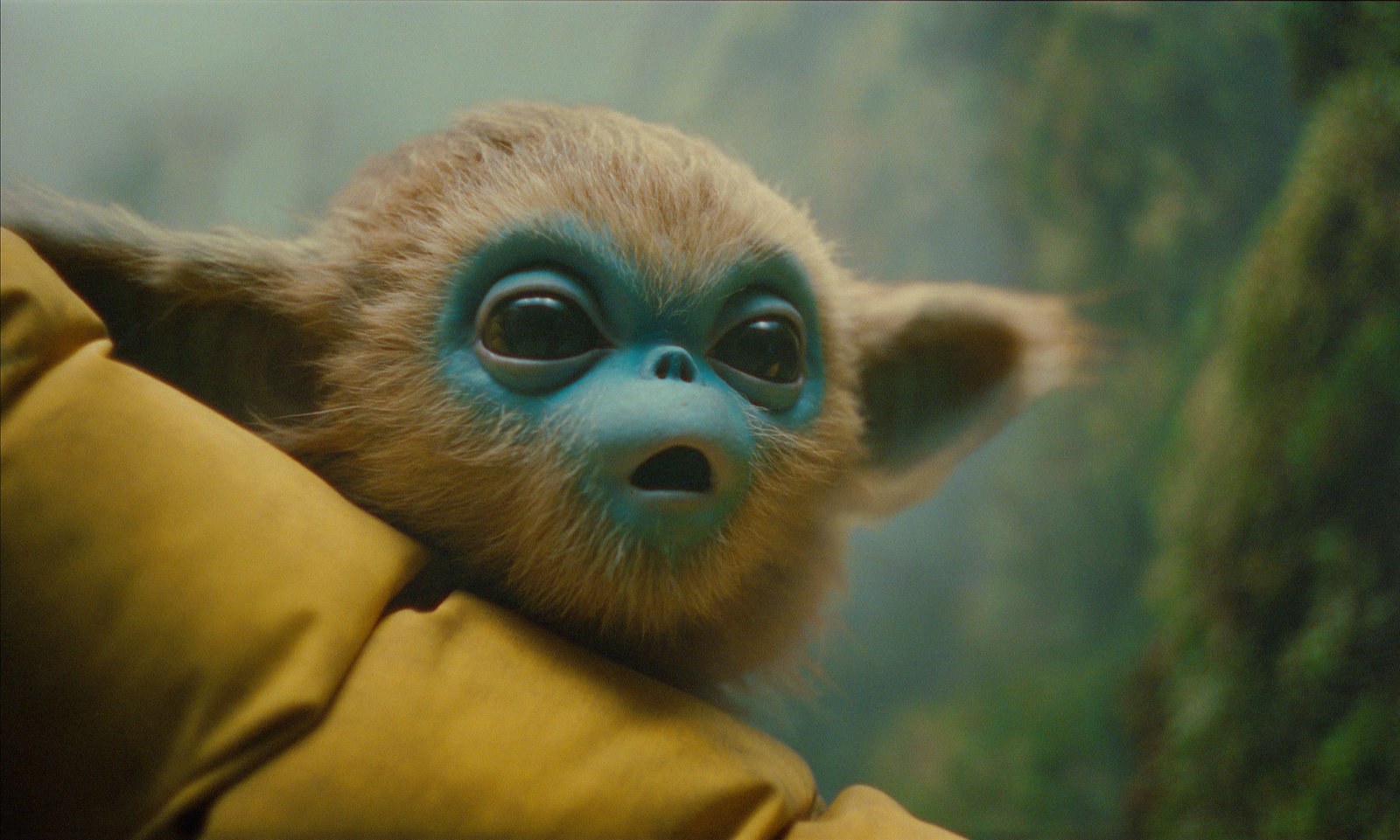 Die Legende von Ochi - Limited Mediabook Edition  (4K Ultra HD+blu-ray)