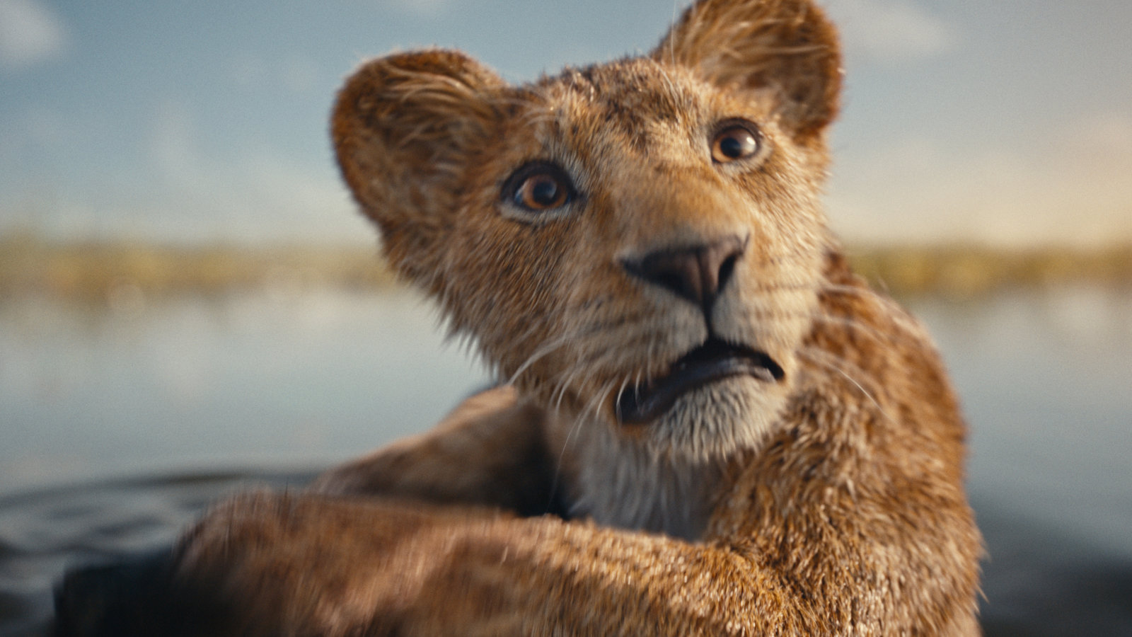 Mufasa - Der König der Löwen  (Blu-ray Disc)
