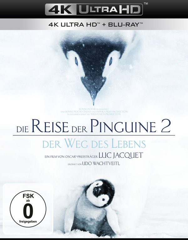 Reise der Pinguine 2, Die: Der Weg des Lebens (4K Ultra HD)