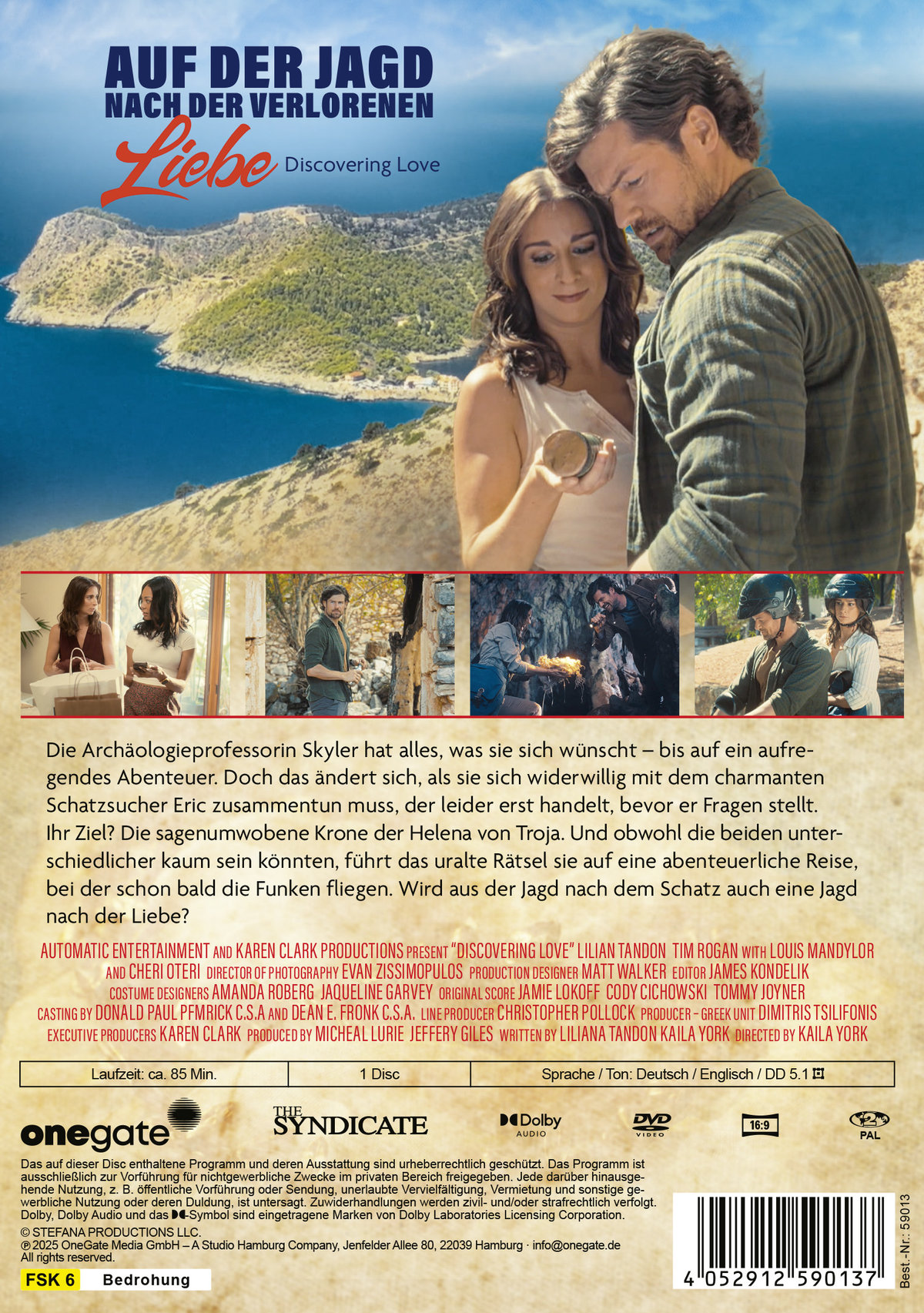 Auf der Jagd nach der verlorenen Liebe - Discovering Love  (DVD)