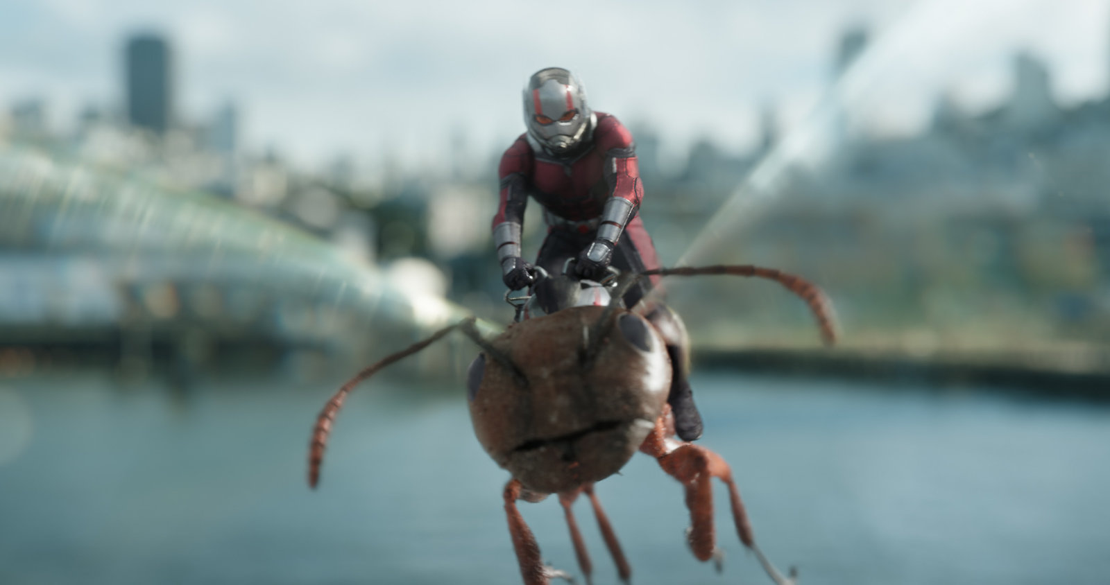 Ant-Man and the Wasp (4K Ultra HD)