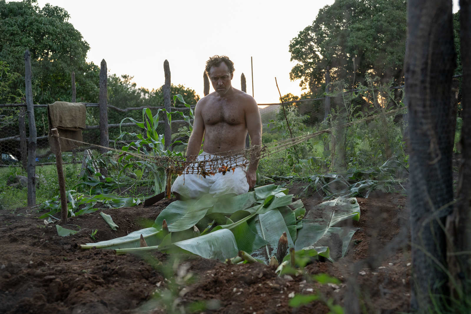 Eden  (Blu-ray Disc)