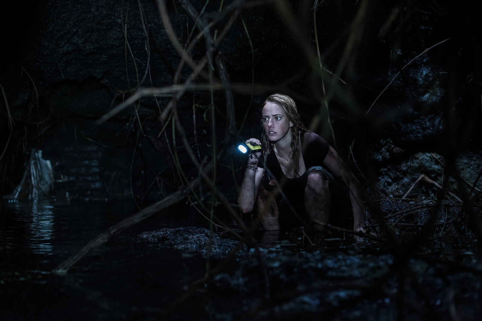 Crawl (blu-ray)